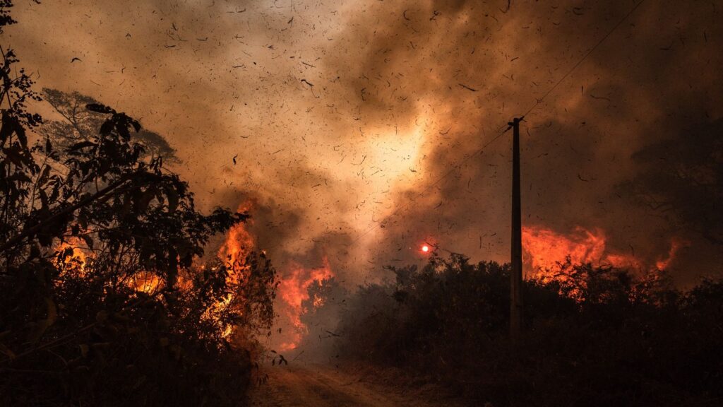 INCENDIOS NO PANTANAL