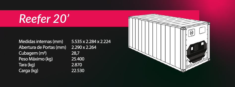 CONTAINER REEFER 20-100