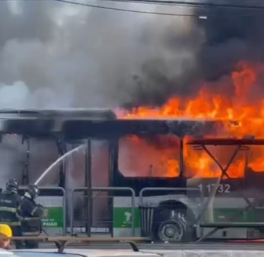 avião cai em SP